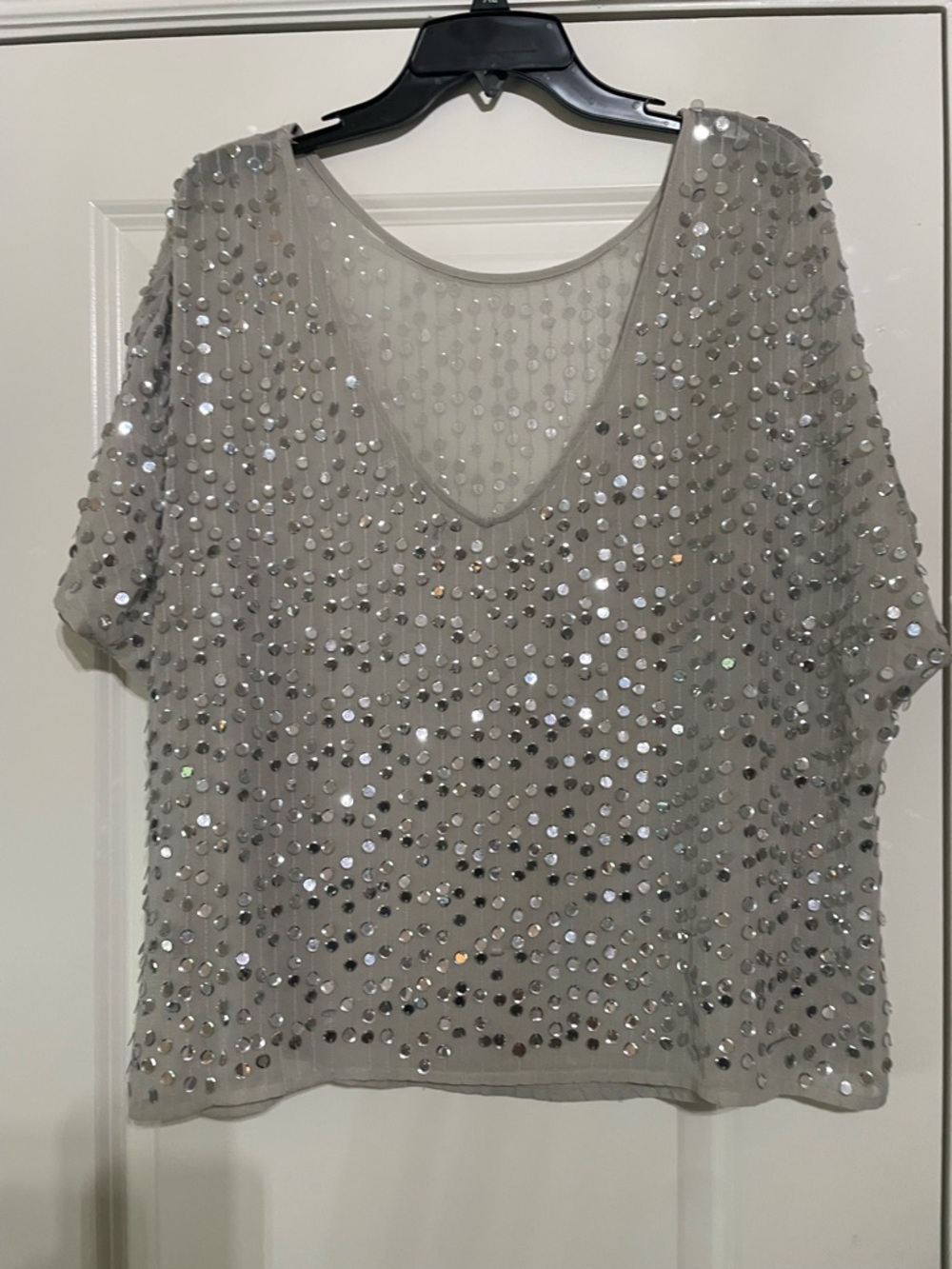 Silver Sequin V-Neck Sheer Short Sleeve Top
